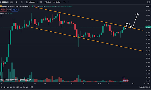 机器学习算法预测狗狗币价格达到1美元并非遥不可及