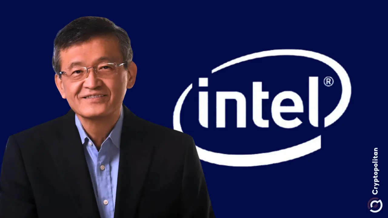 新任 CEO Lip-Bu Tan 上任后,英特尔股价增长了16%